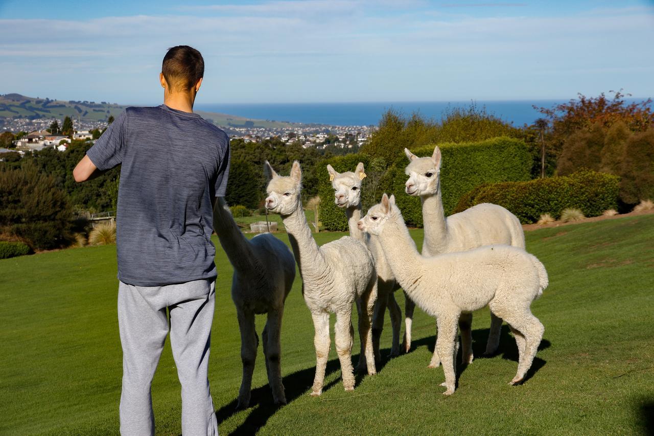 Alpaca Farmstay Дьюндин Экстерьер фото